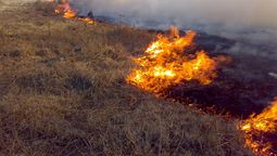 altText(Bomberos y policía lograron sofocar incendio de un campo en las afueras de Montevideo)}