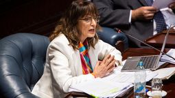 altText(Senado dio media sanción a proyecto de tenencia compartida)}