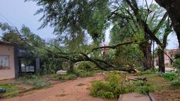 altText(Dos fallecidos en Colonia por fuerte temporal)}