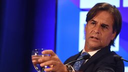 altText(Los nabos de siempre)}