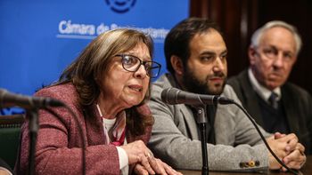 La diputada del FA, Ana Olivera, cuestionó el tratamiento de la reforma jubilatoria.