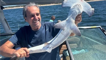 Tras subir una foto con un tiburón martillo, Monzeglio se excusó y reportó lo sucedido