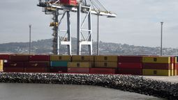 altText(Exportaciones uruguayas crecieron 14% en marzo empujadas por la celulosa y la carne)}