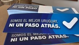 altText(Da Silva defiende al gobierno entregando pegotines)}