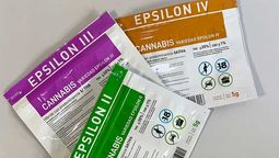 altText(Récord: en 2025 se vendieron 4,3 toneladas de marihuana legal, una más que en años anteriores)}