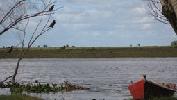 altText(Uruguay frente a la encrucijada: la biodiversidad en peligro)}
