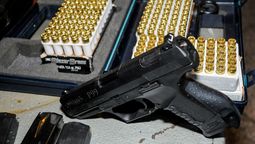 altText(Presentan proyecto para regular la tenencia de armas)}
