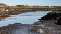 altText(Cambio climático: el rol de nuestro país, ¿Mitigación o adaptación?)}