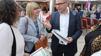 Lustemberg a sala: aprobaron interpelación en Diputados por el caso Danza