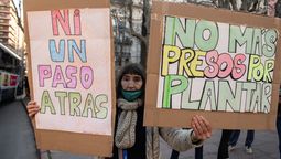 altText(Marihuana: 9 años de la ley que regula su mercado en Uruguay)}