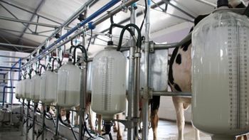 Lechería con altas y bajas.