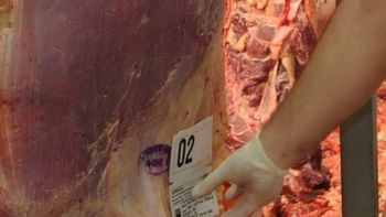 Evolución en la exportación de carne genera expectativas