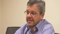 altText(Gustavo Leal: «Parece que la pelusa de los árboles genera violencia»)}