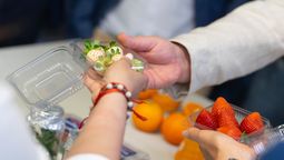 altText(INIA y CTM Salto Grande unen esfuerzos para prevenir plaga que amenaza la citricultura)}