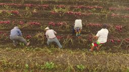 altText(Uruguay XXI y un ciclo de talleres con empresas del interior)}