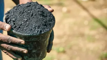 Fertilizantes: Más del 40% de la población mundial se verá afectada por la escasez de alimentos