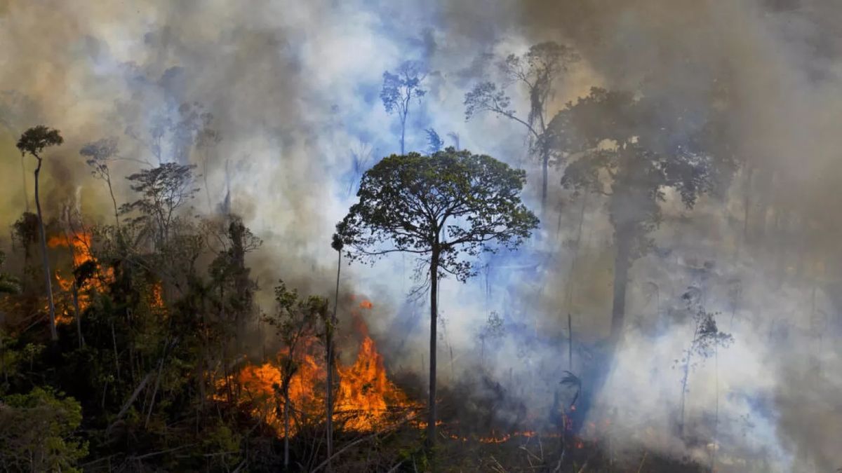 Los incendios se expenden por el continente.