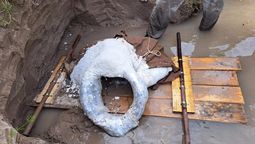 altText(Rescataron restos fósiles de Glossotherium hallado en Soriano)}