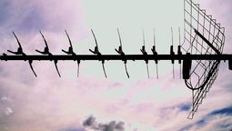 altText(Las nubes pasan: ¿Los amigos quedarán?)}