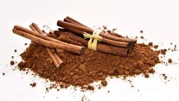 altText(Canela, mucho más que un condimento)}