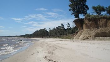 El Proyecto Neptuno y sus impactos ambientales