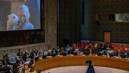 altText(Roger Waters dio un discurso en la ONU)}
