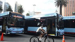 altText(Bergara cumple uno de sus objetivos: Montevideo suma 50 ómnibus eléctricos)}