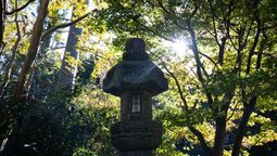 altText(Reabrió el Jardín Japonés y así luce luego de las tareas de limpieza y mantenimiento)}