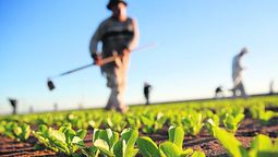 altText(Aumentó un 21 % el precio de hectárea para uso agropecuario)}