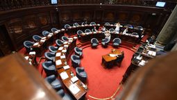 altText(El Senado aprobó el proyecto de tenencia compartida)}