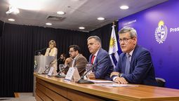 altText(La mayoría de la población alineada al gobierno en el caso Cardama)}