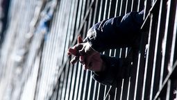 altText(Mato pide informes sobre tratos inhumanos en el Estado)}