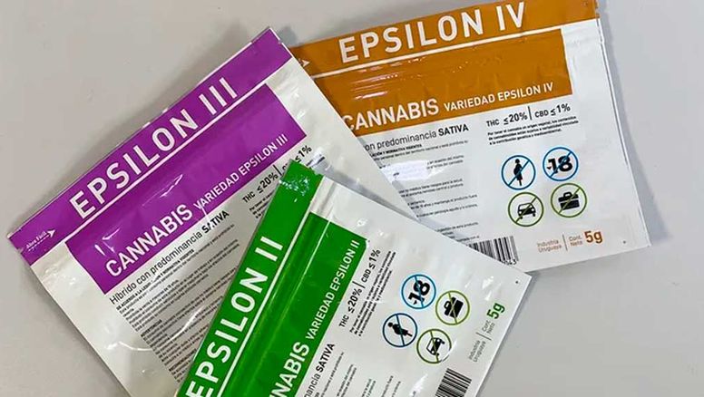 Récord: en 2025 se vendieron 4,3 toneladas de marihuana legal, una más que en años anteriores