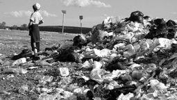 altText(Rivera aplicará multas de $10.000 a quienes arrojen basura en sitios prohibidos)}