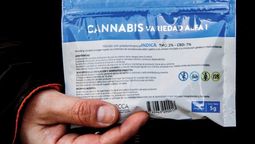 altText(THC al 11%: se comercializará nueva variante de marihuana)}