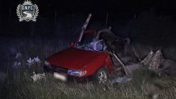 altText(Accidente fatal deja 4 fallecidos entre ellos dos menores)}