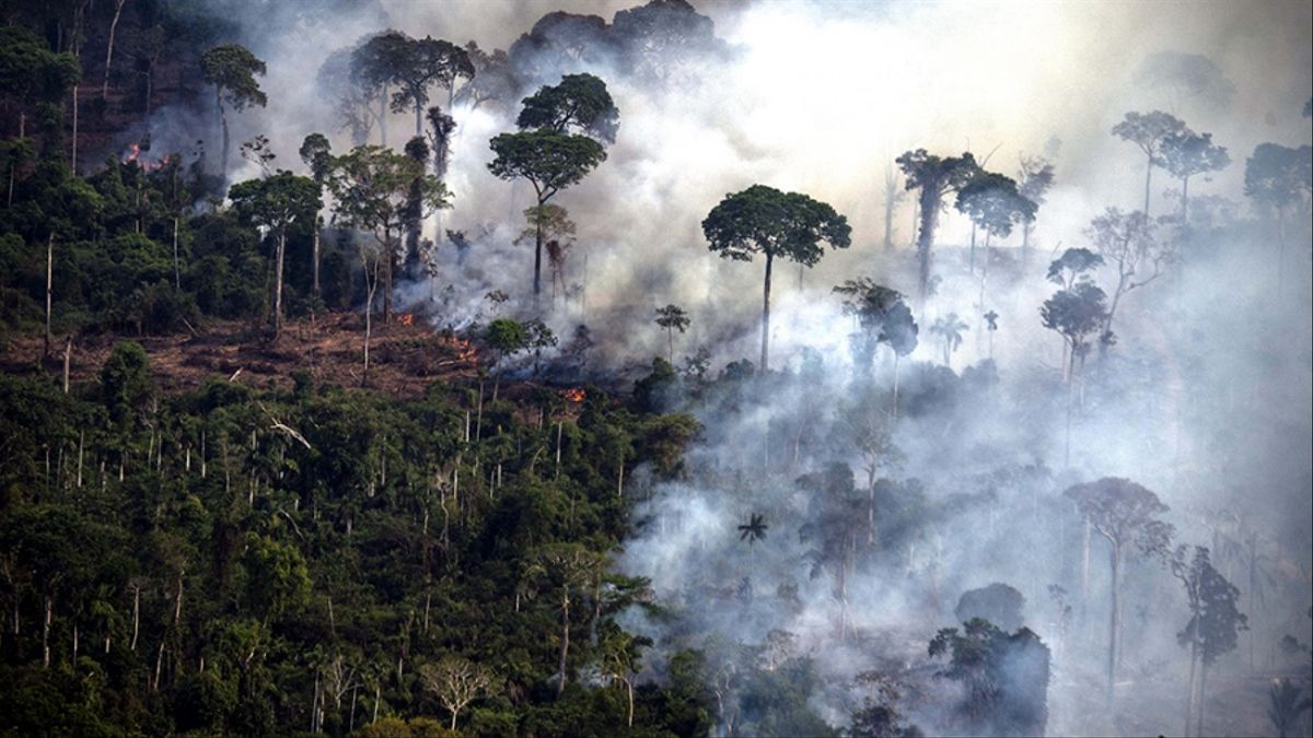 Deforestación en Brasil