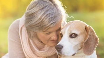 El ser humano y el perro experimentan ritmos de envejecimiento variados.