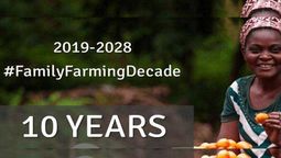 altText(FAO anuncia el lanzamiento del Decenio de la Agricultura Familiar)}