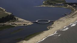 altText(¿Cuántos casos de gripe aviar se han detectado hasta ahora?)}