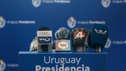 altText(Buen amigo es el gato, cuando no araña)}