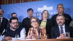 altText(FA analiza denuncia penal contra Irene Moreira)}