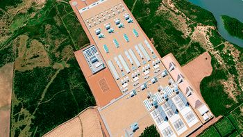 HIF fue multada por tala de monte nativo donde pretende instalar planta de hidrógeno verde.