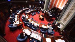 altText(Proyecto de muerte digna ya es ley: Cámara de Senadores aprobó la despenalización de la eutanasia)}