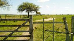 altText(Operaciones de compraventa de tierras agropecuarias sumaron U$S 505 millones en 2020)}