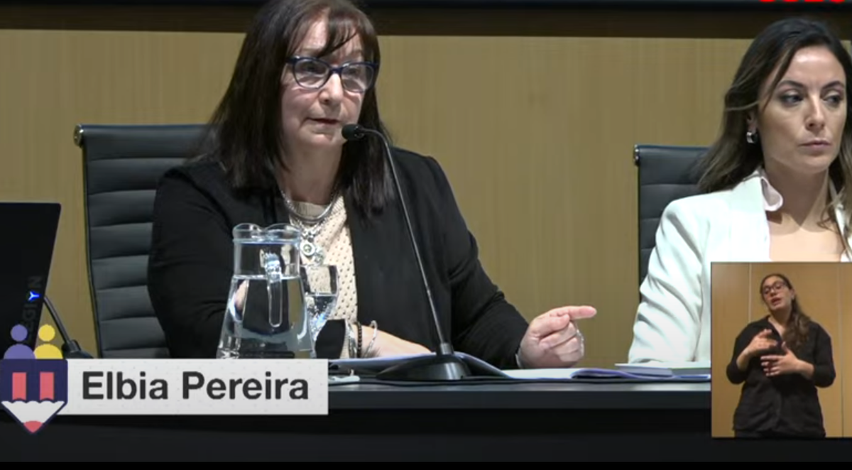 Elbia Pereira presentó la propuesta de la CSEU.