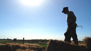 30 de abril, Día del Trabajador Rural