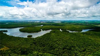 Reino Unido quiere unirse a Alemania y Noruega para financiar Fondo Amazonia