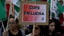 altText(Licencias médicas: gobierno suspendió el decreto por 60 días tras acuerdo con COFE)}