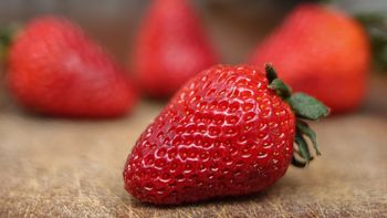 Temporada de frutillas